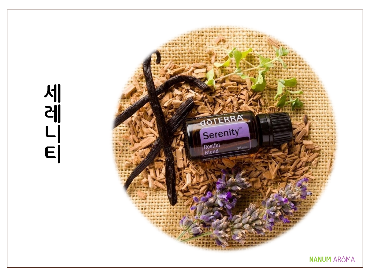 도서관 강의키트