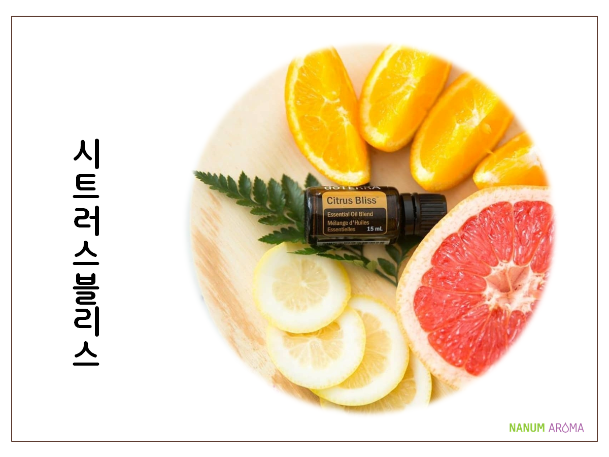 도서관 강의키트