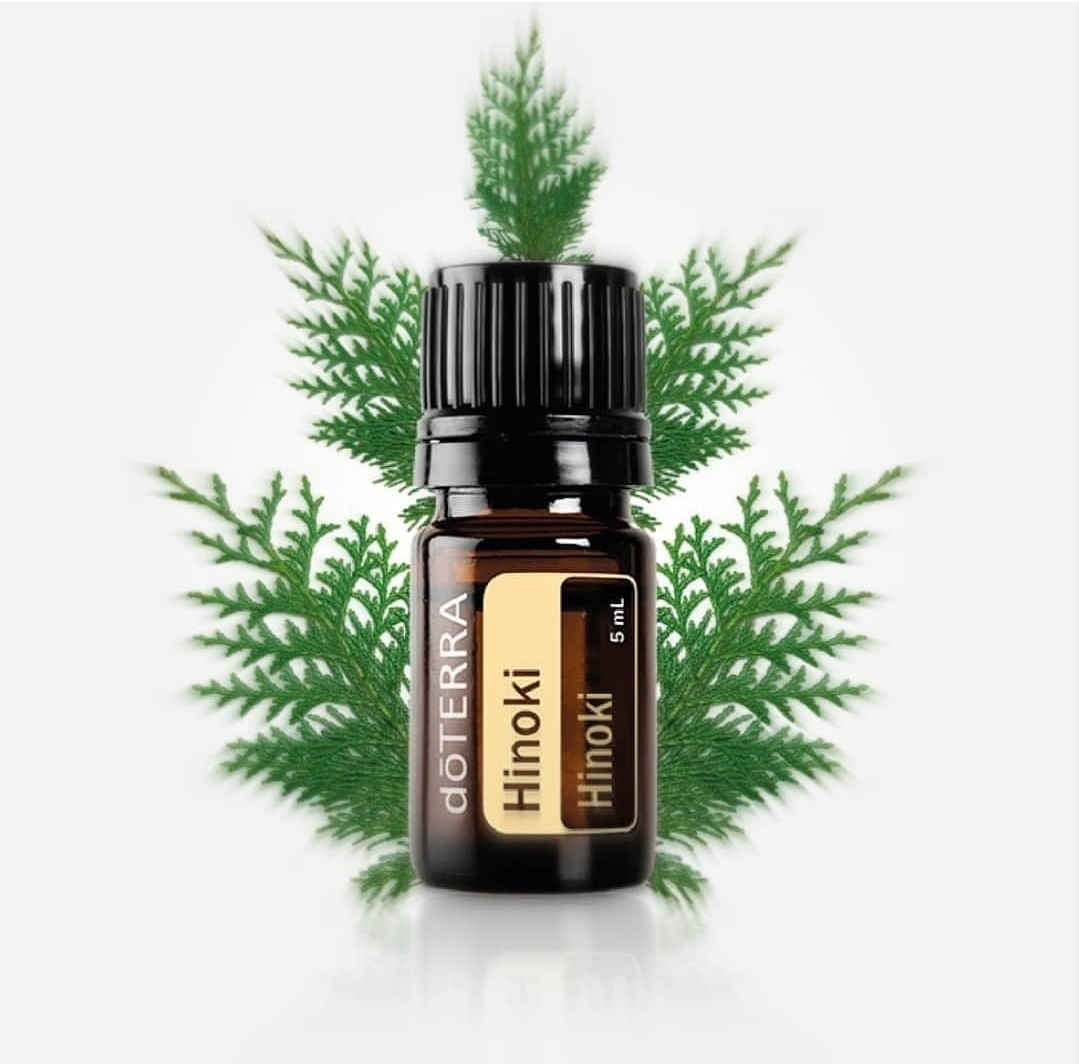 히노키&유칼립투스