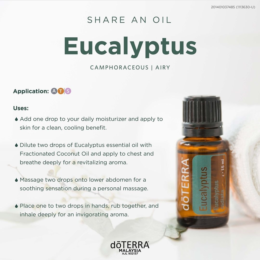 히노키&유칼립투스