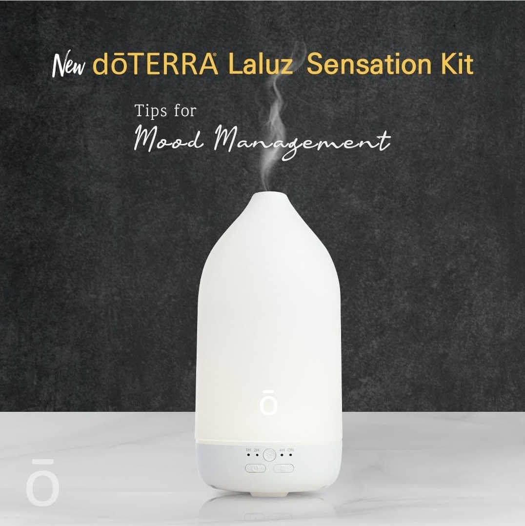 라루즈 디퓨저 세트 - 라루즈 디퓨저 + 오렌지 오일